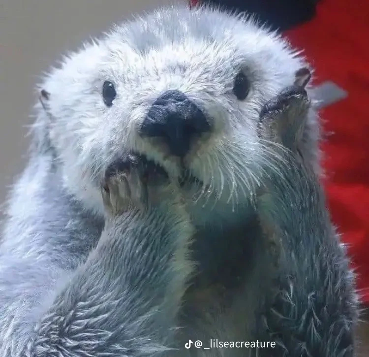 Image uploaded by Chris