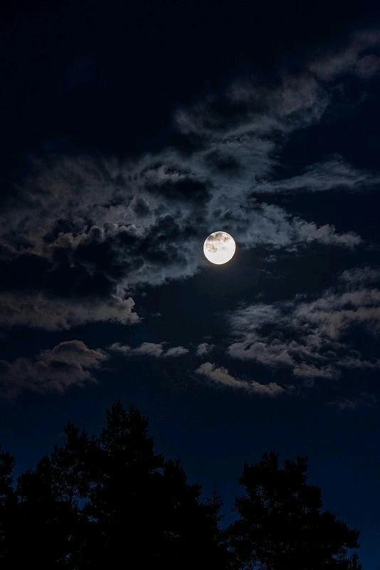 Image uploaded by Lorin