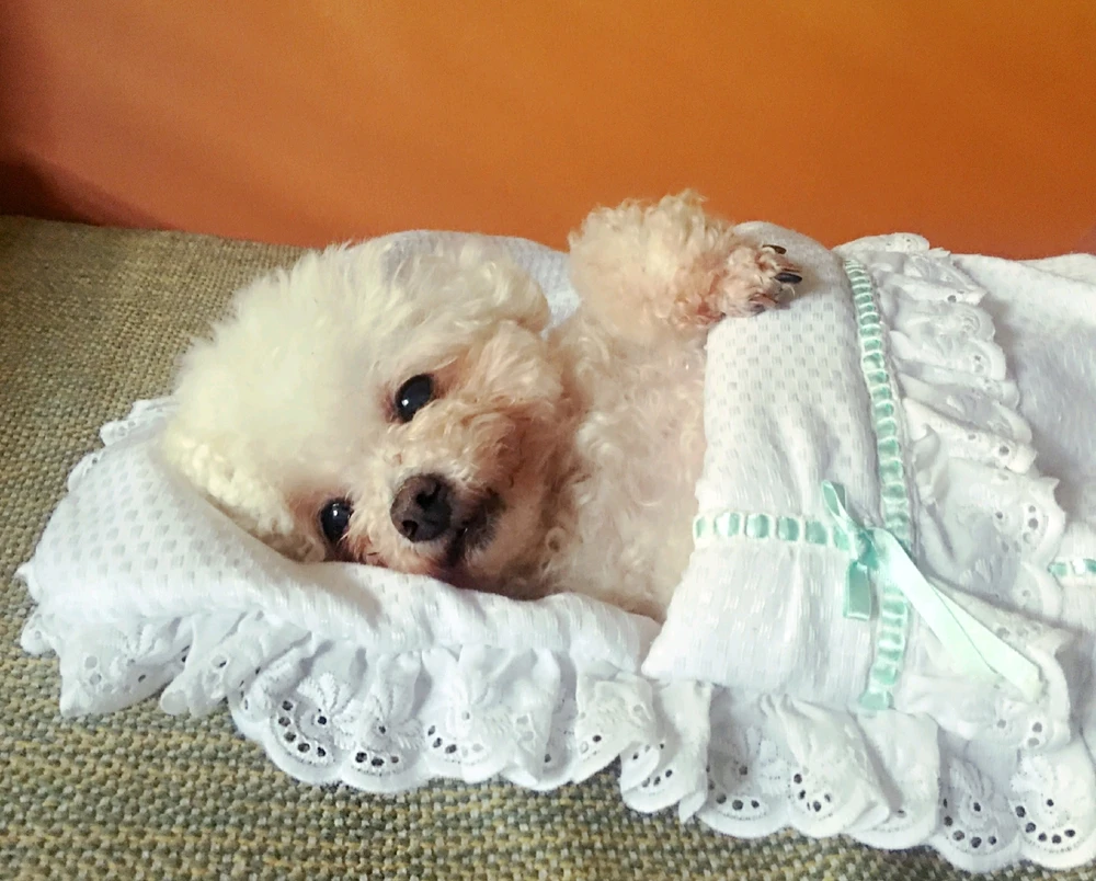 Imagen subida por Fatima