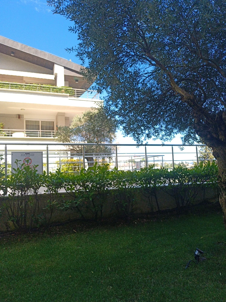 Musa tarafından yüklenen görsel