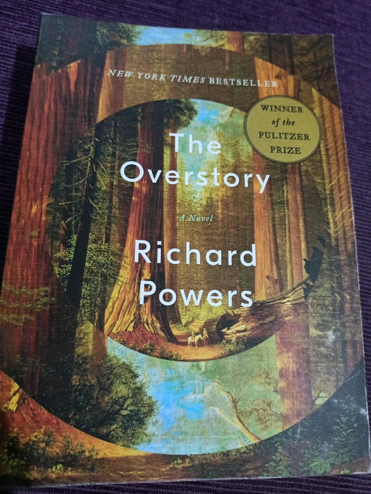 Gambar diunggah oleh Alvin