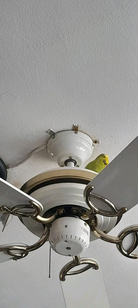 Bild hochgeladen von Lee