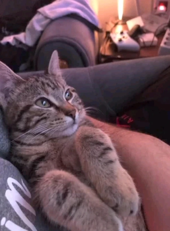 Ufuk tarafından yüklenen görsel