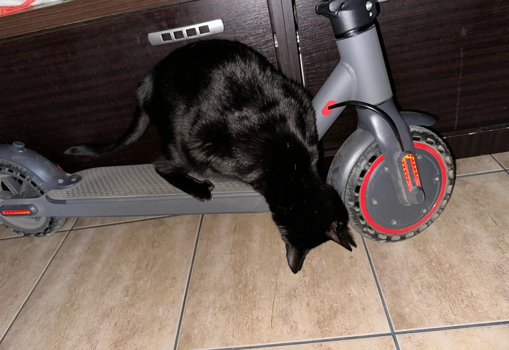 Imagine încărcată de Andrei