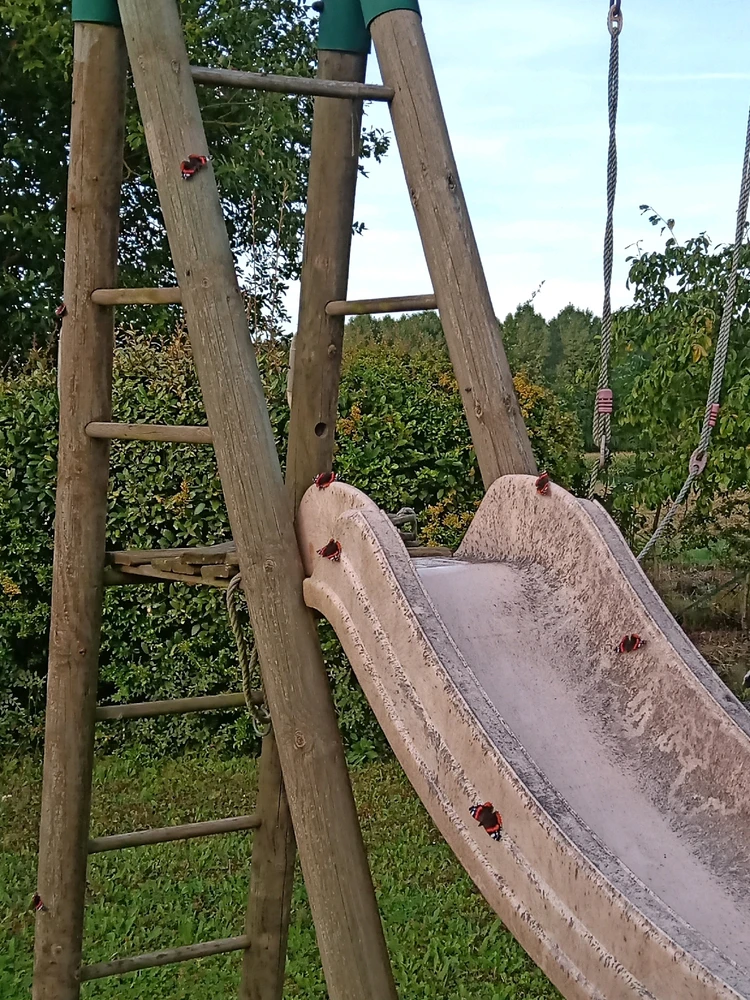 Image ajoutée par Cassandre