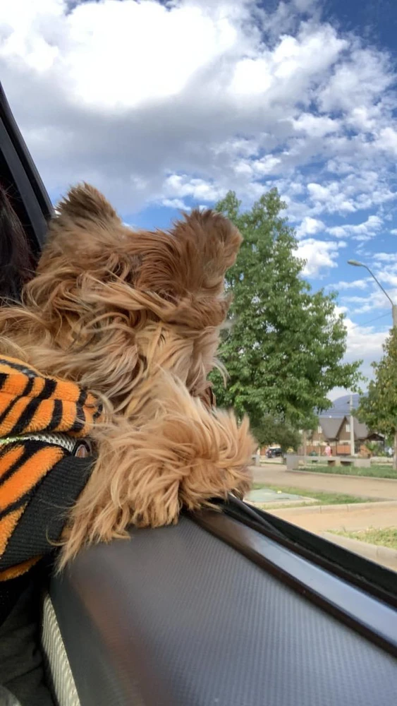 Image uploaded by AA