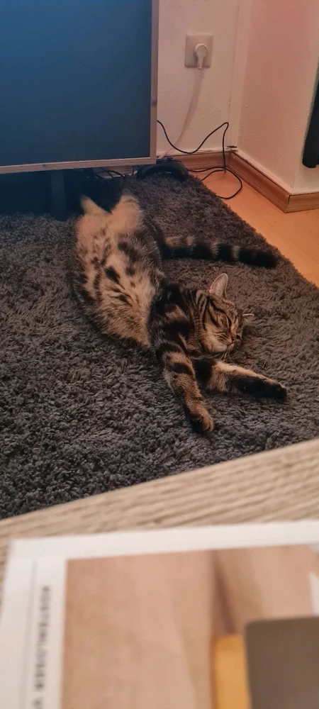 Bild hochgeladen von Jan