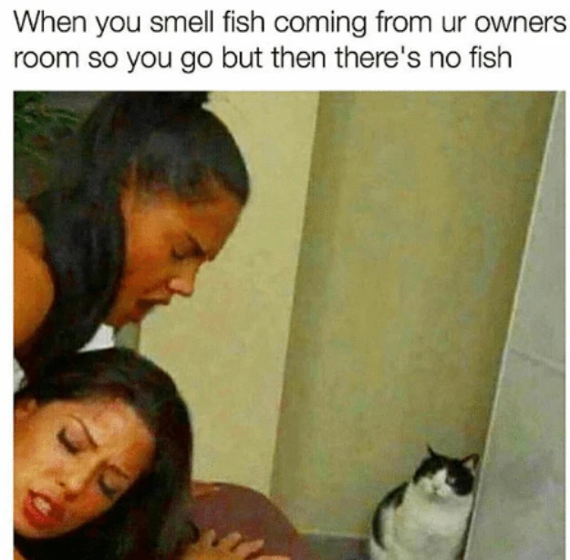 Obrázek nahrál Martin