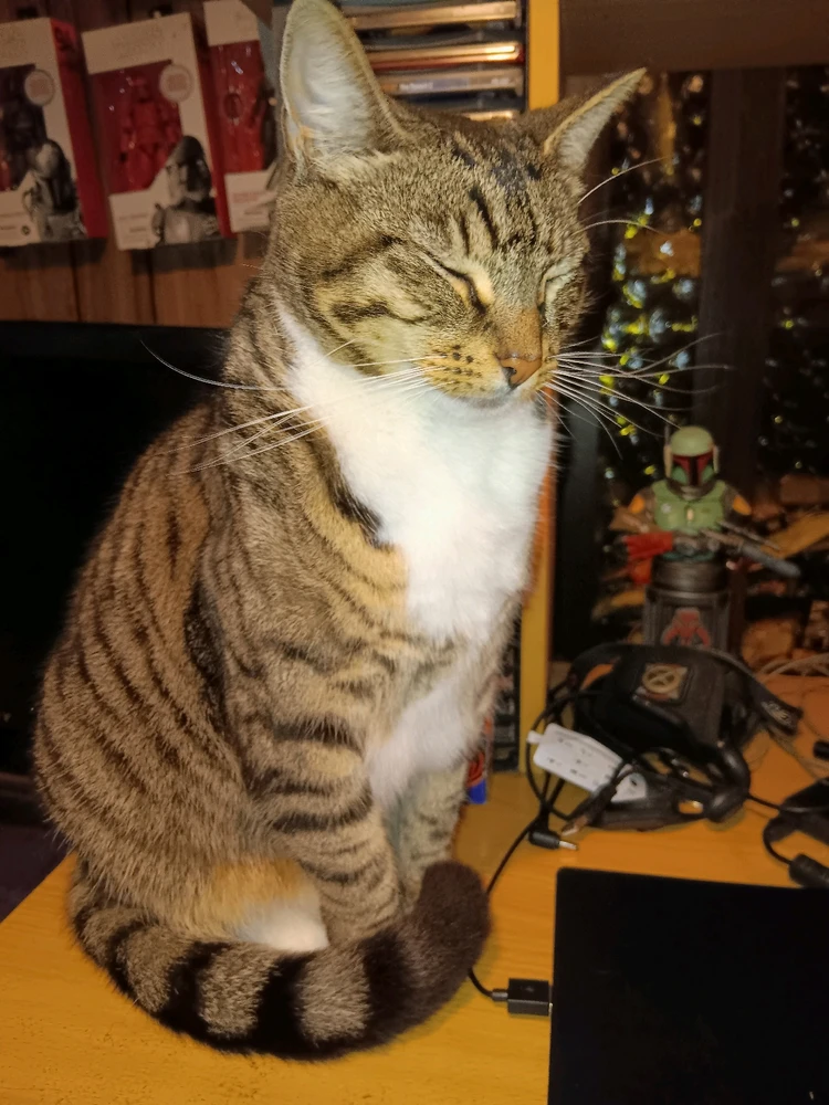 Image uploaded by Damian