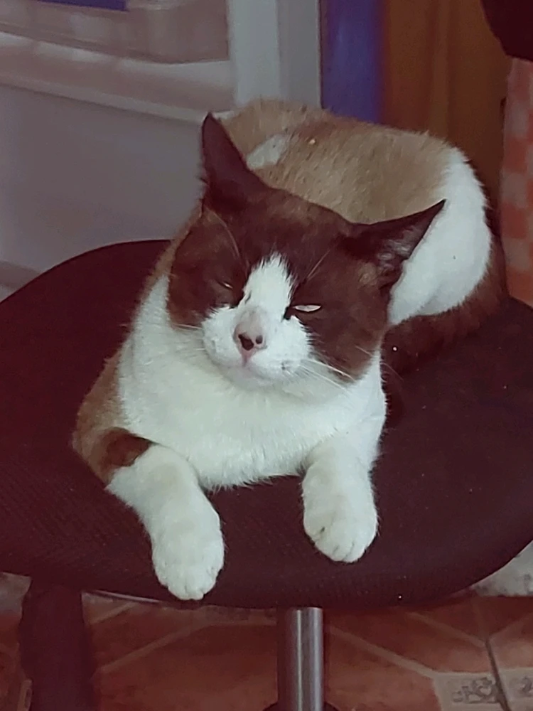 Imagen subida por Yat