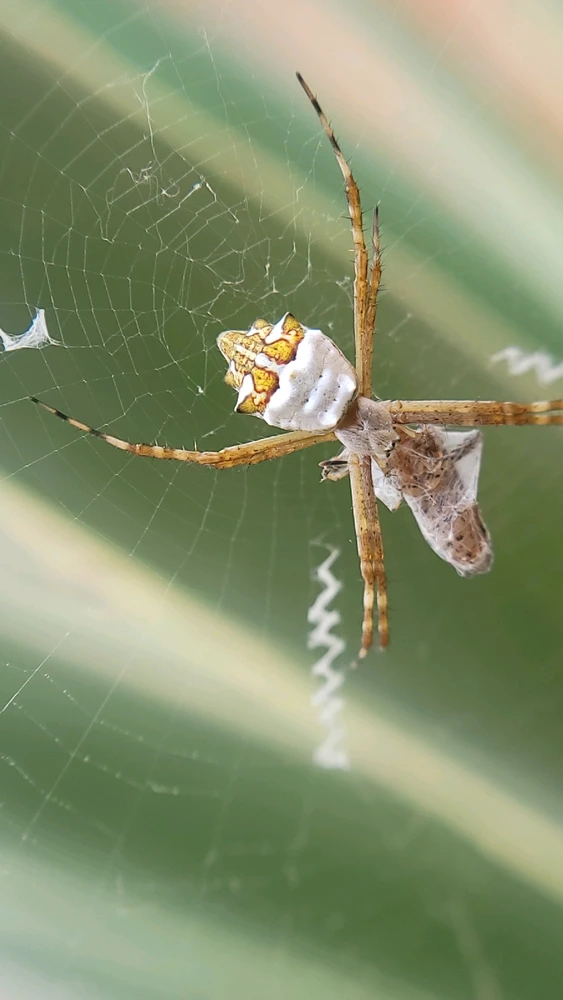 Image uploaded by Mark