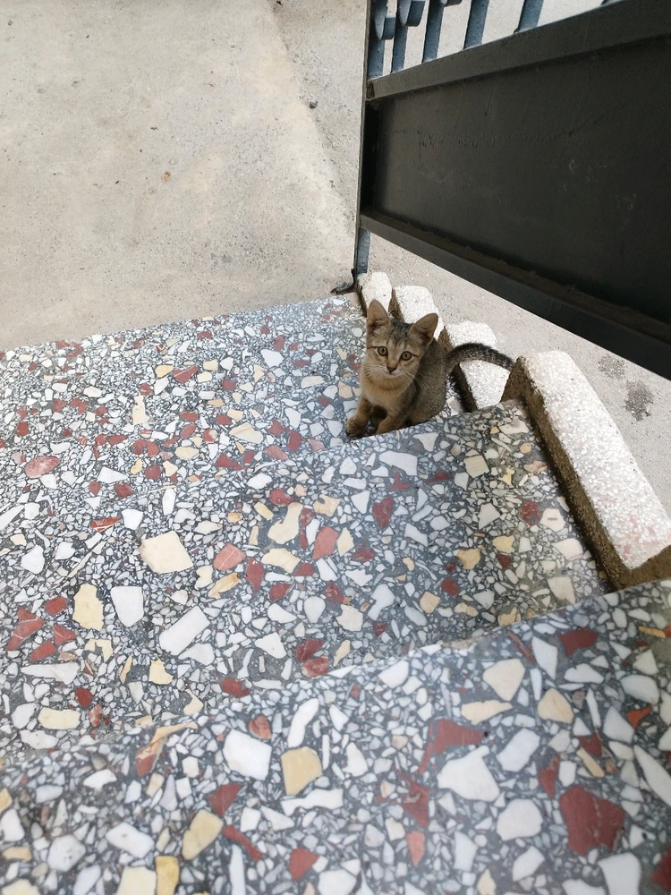 Yusuf tarafından yüklenen görsel