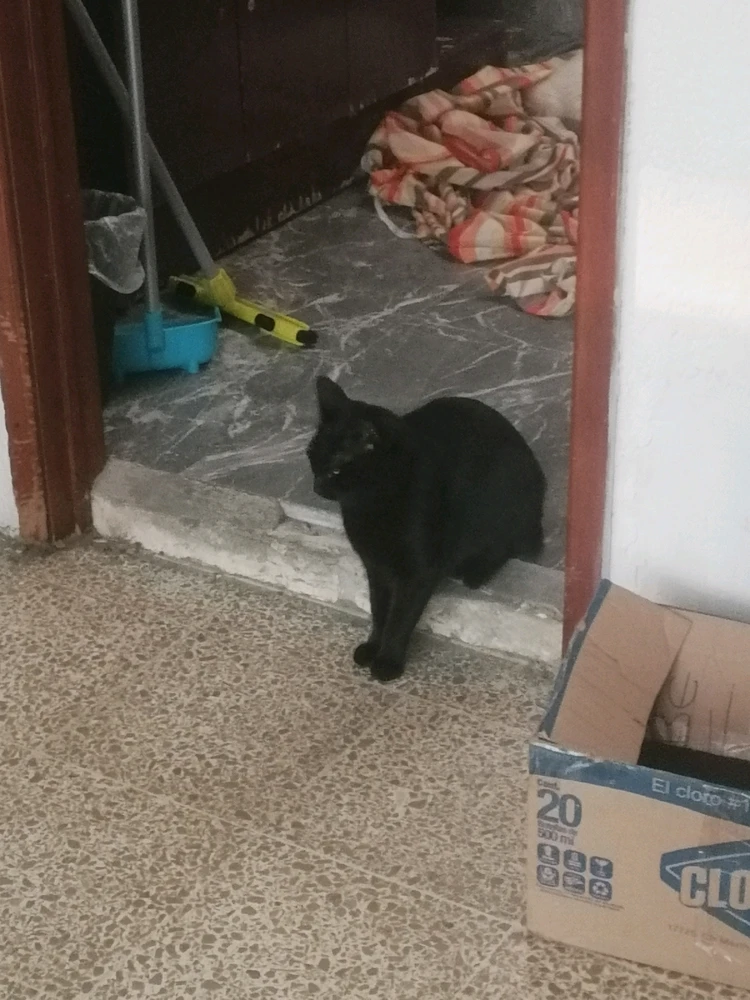 Imagen subida por Monserrat Ramsey