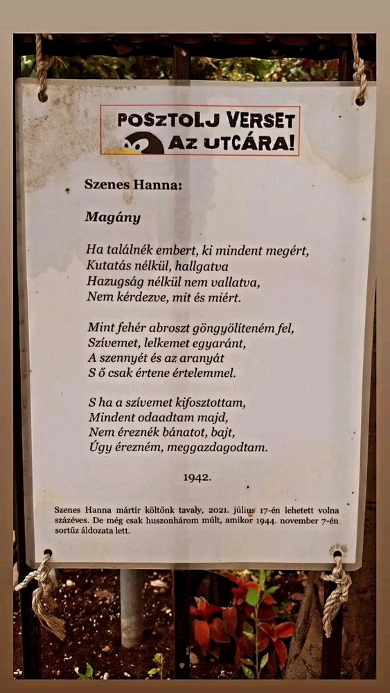 Enikő által feltöltött kép