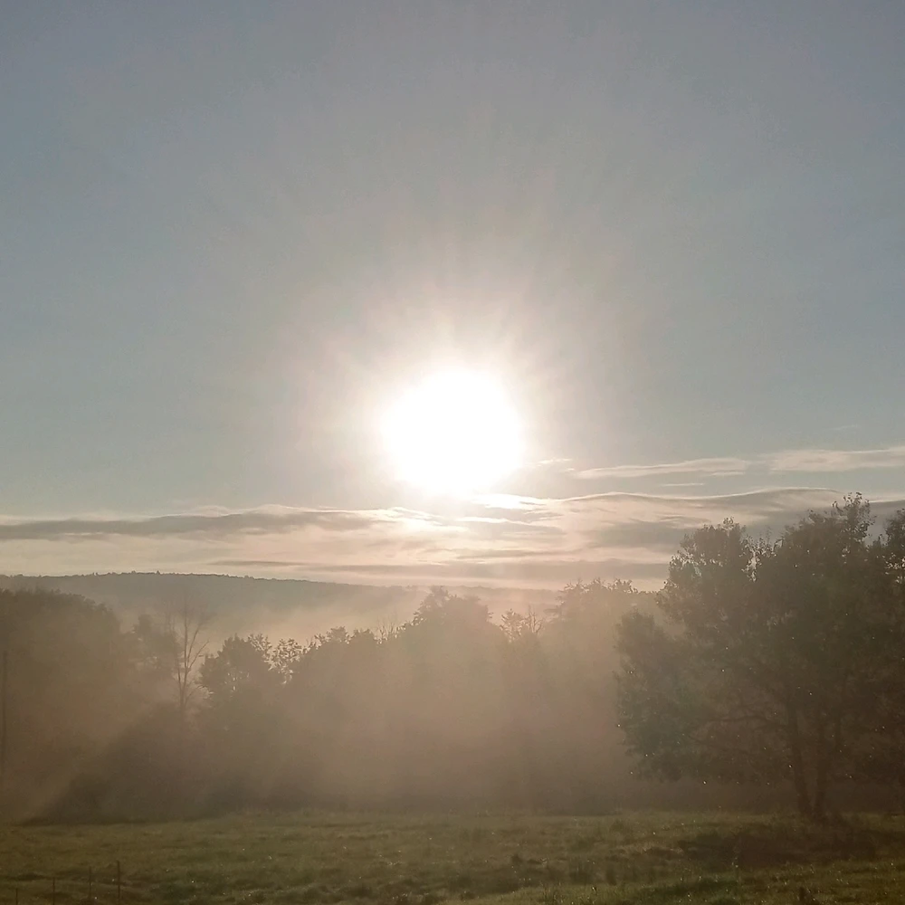 Image uploaded by Nate