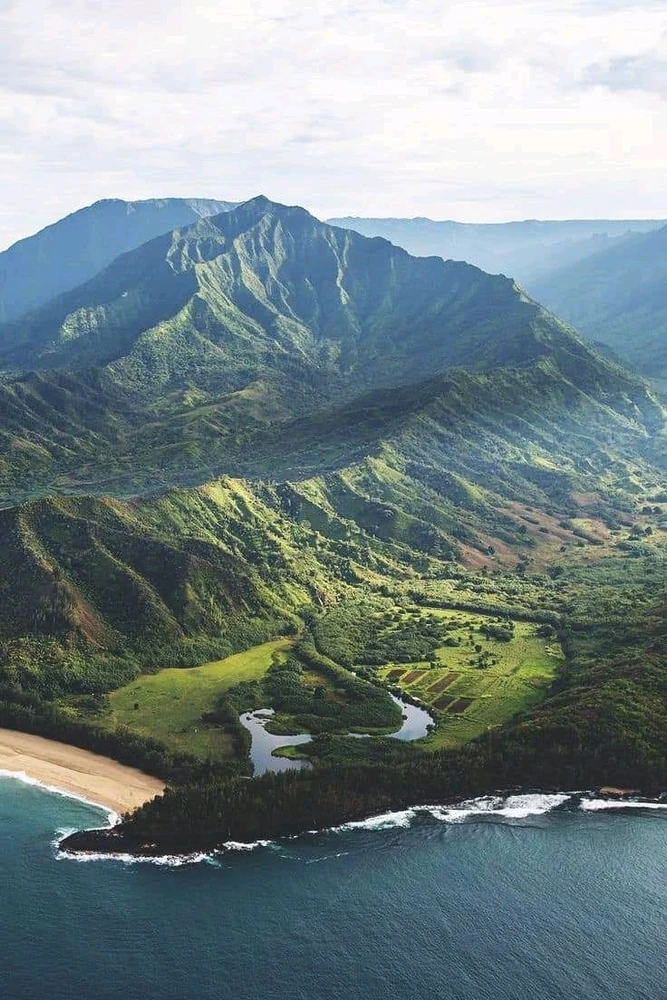 Image uploaded by Jan said