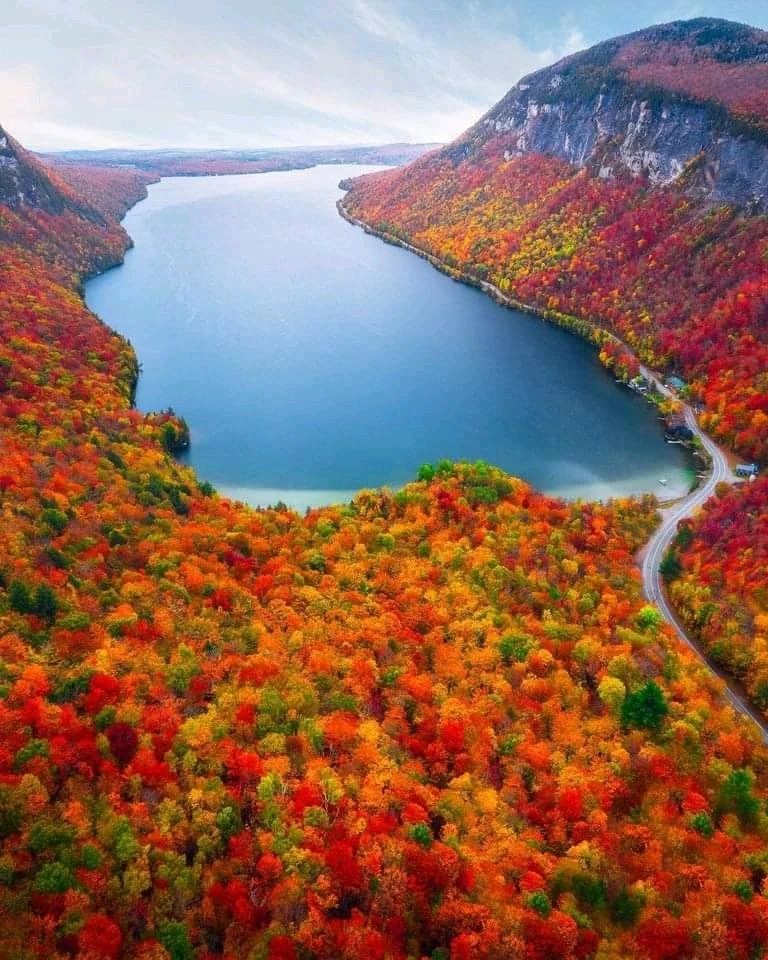 Image uploaded by Jan said