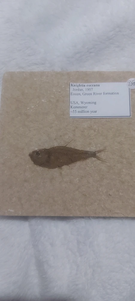 Image uploaded by Annamari