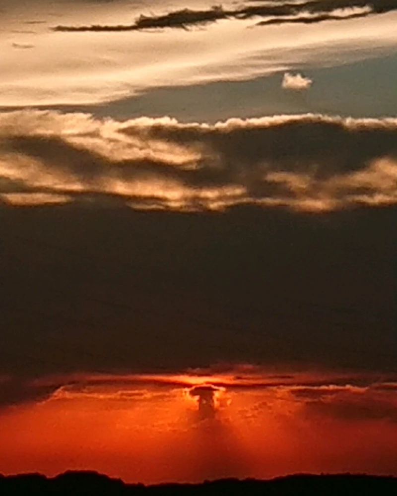 Imatge pujada per Ramon