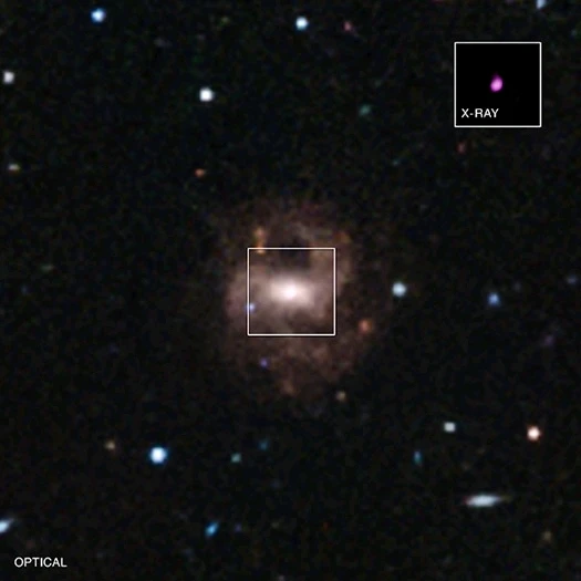 Image uploaded by Luis