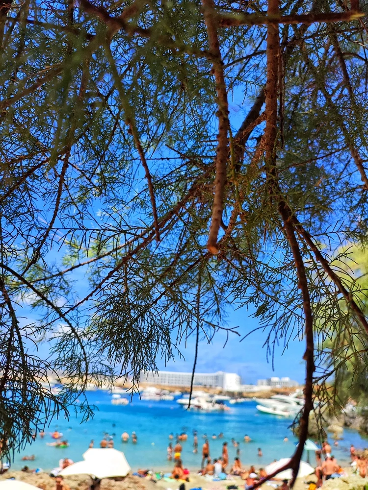 Immagine caricata da Terry Potter ⚡