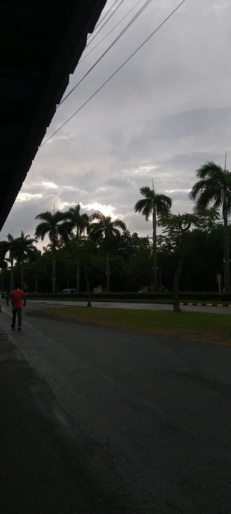 Image uploaded by Ela