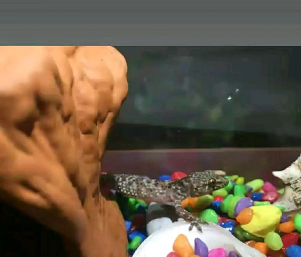 Mloy tarafından yüklenen görsel