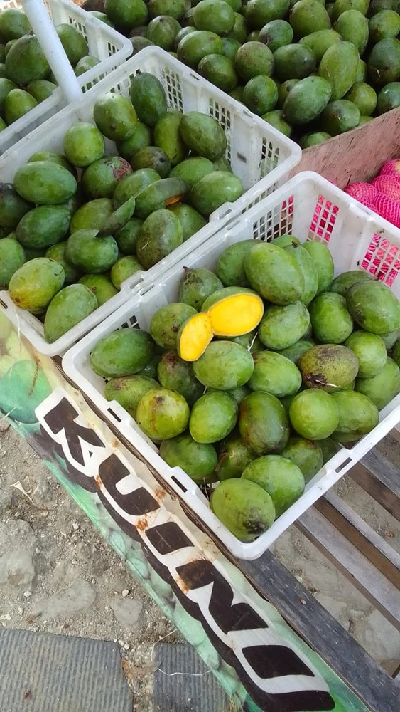 Image uploaded by Henny Ismail