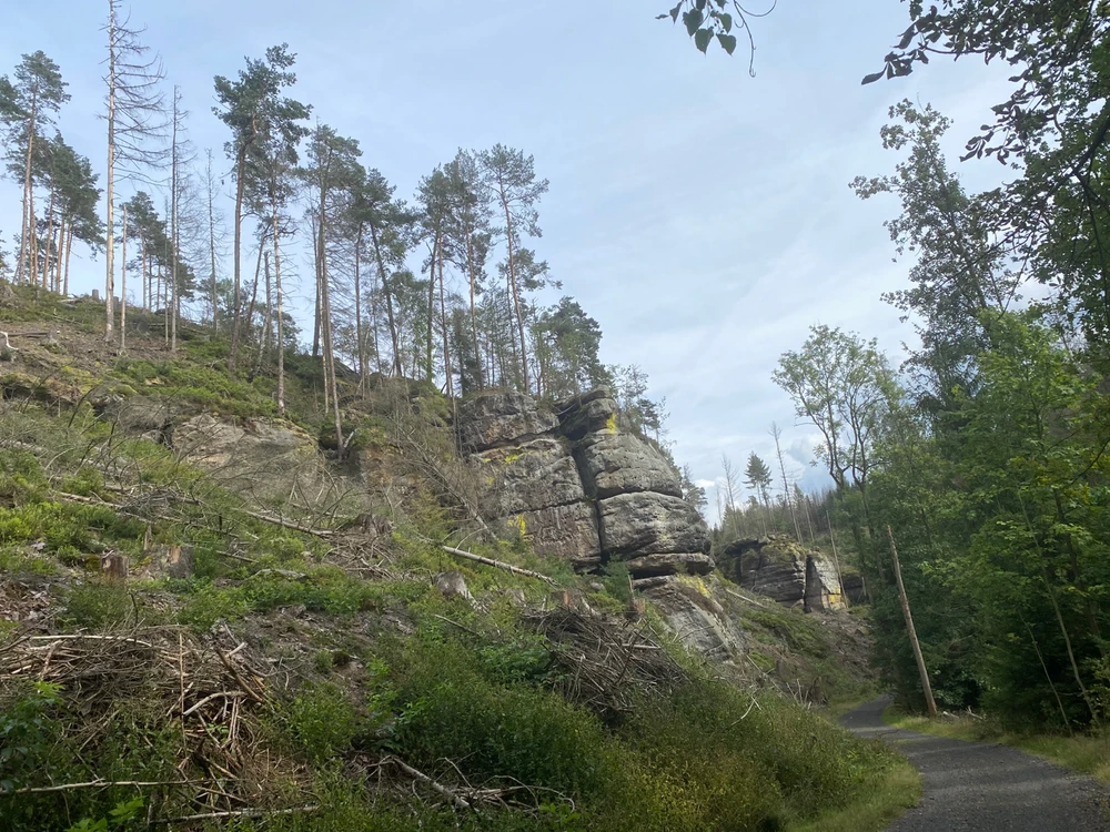 Obrázek nahrál Michal