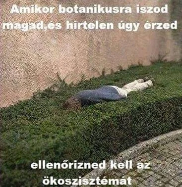 Dávid által feltöltött kép