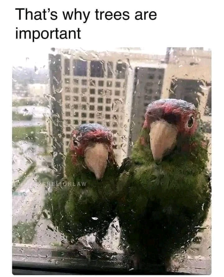 Obrázek nahrál Aileen