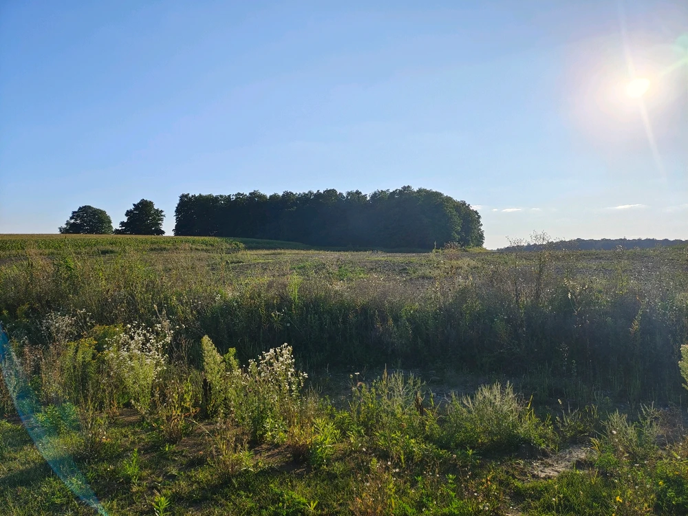 Image uploaded by Rhythm