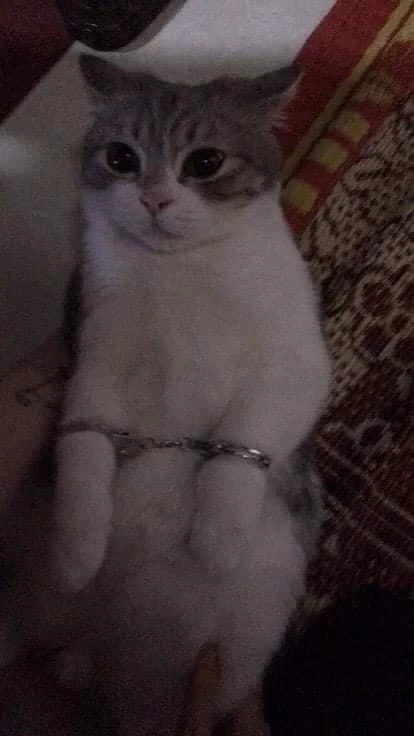 Obrázek nahrál Matěj