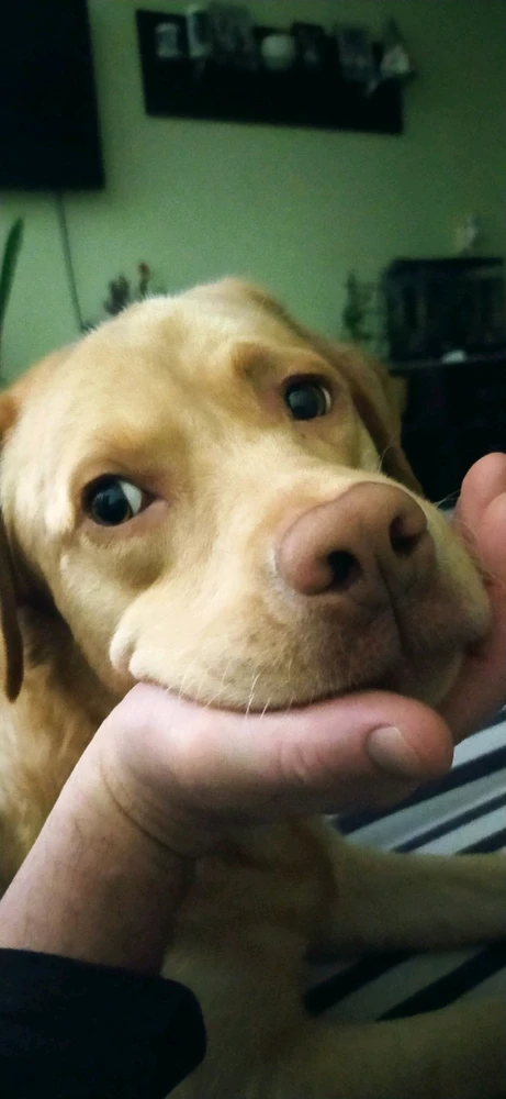 Image uploaded by Стас