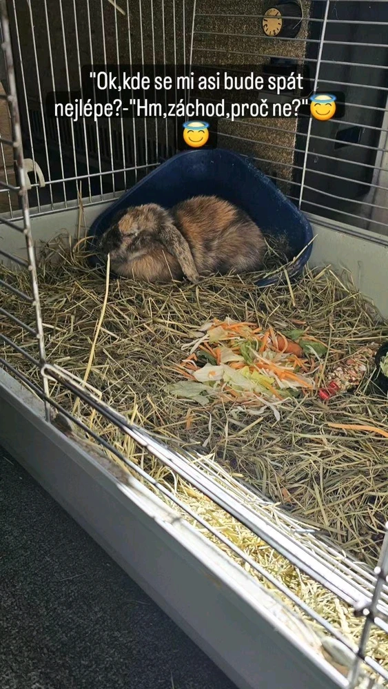 Obrázek nahrál Jakub