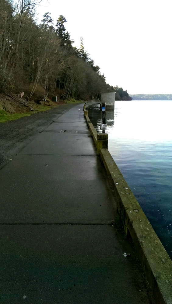 Point Defiance, WA 💫#pnw 