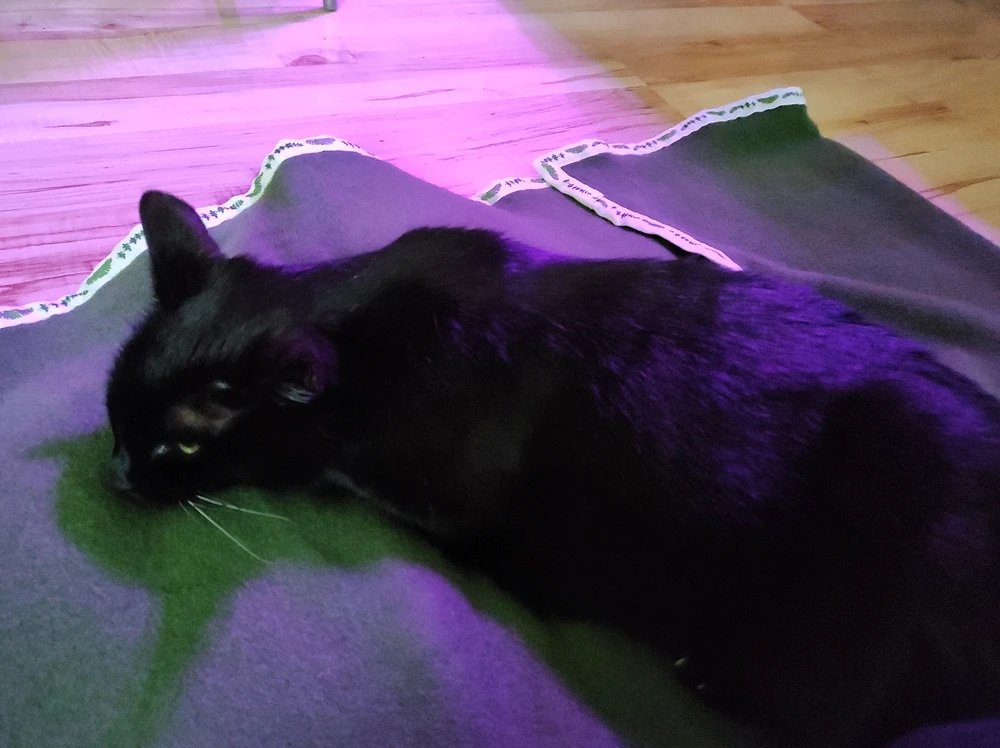 Zdjęcie dodane przez Agata Józefina