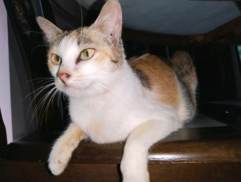 Image uploaded by Kendiu Tawawoh