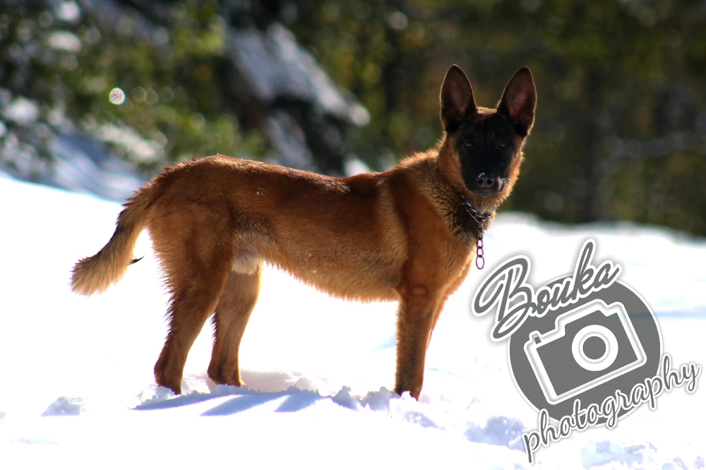 Image ajoutée par ANDERSON