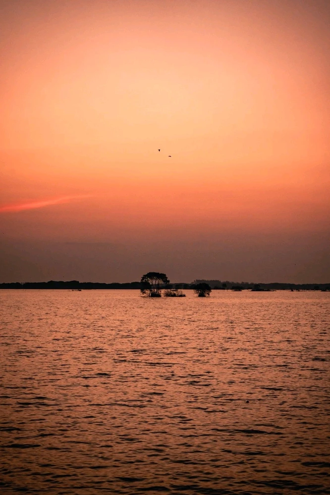 Gambar diunggah oleh Heressiah