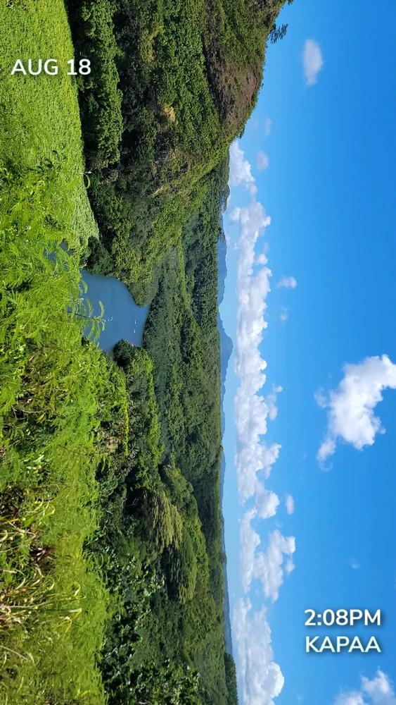 由Mischelle上传的图片