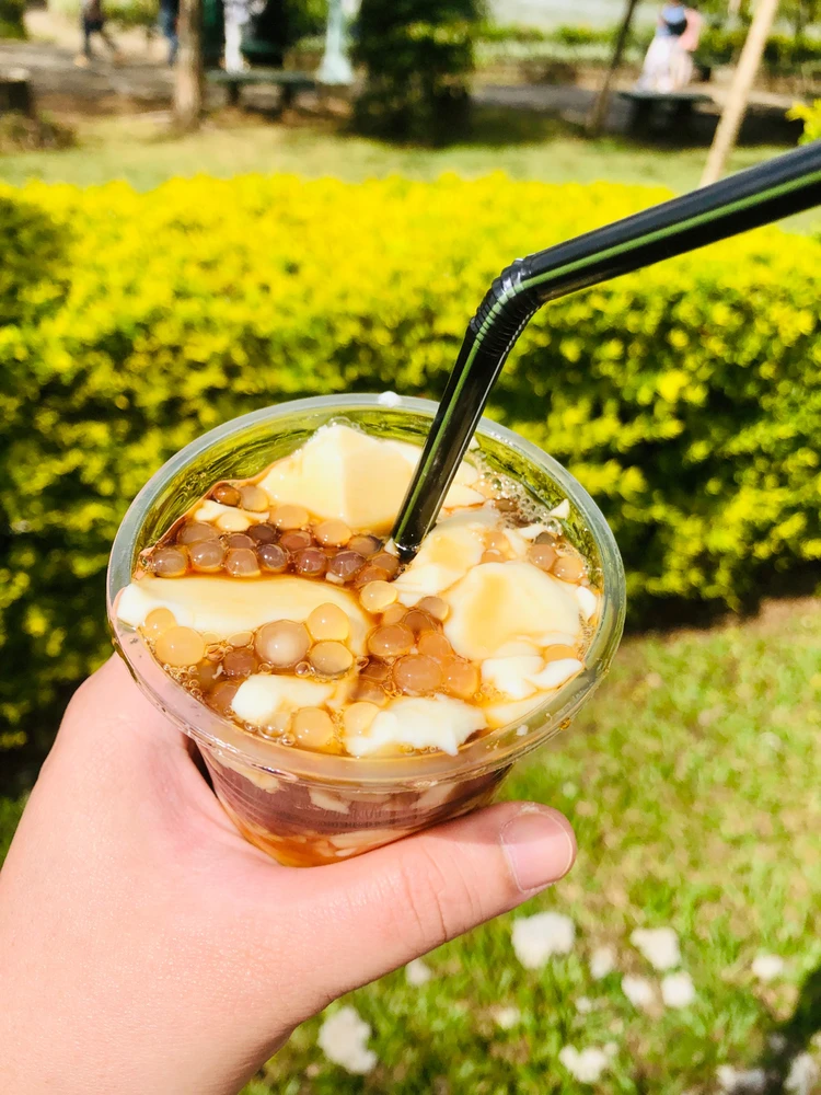 Silken tofu with brown sugar syrup amd sago