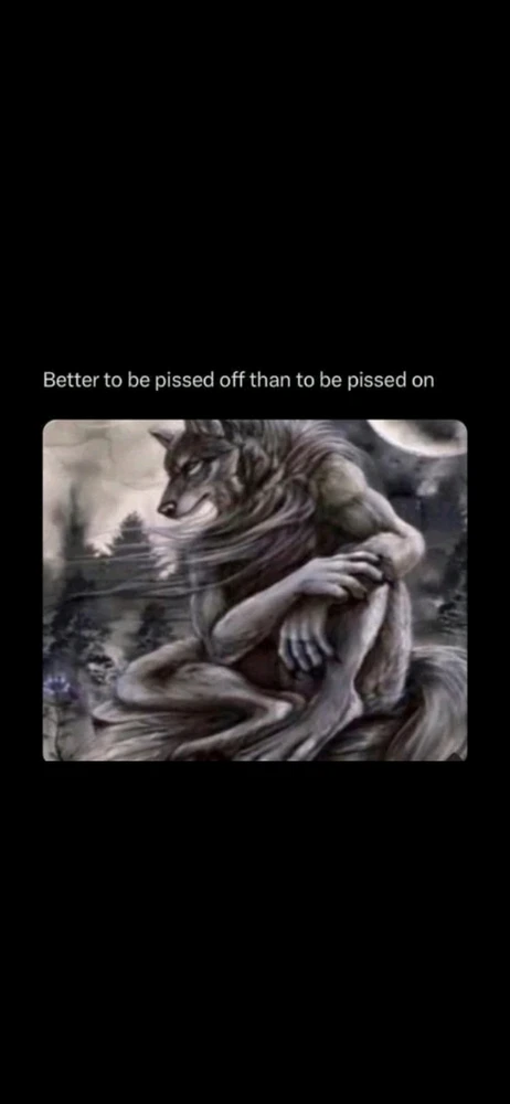 Bild hochgeladen von Daniel