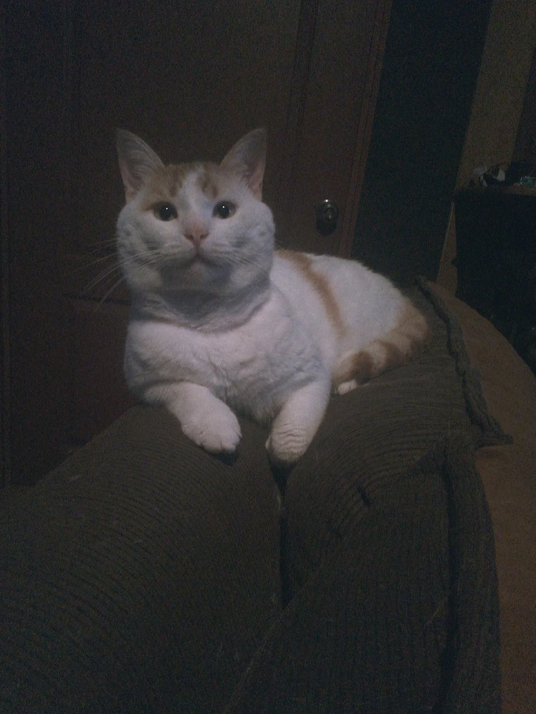 Imagen subida por Oscar