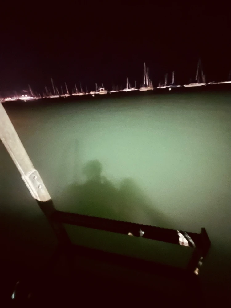 Image uploaded by gone
