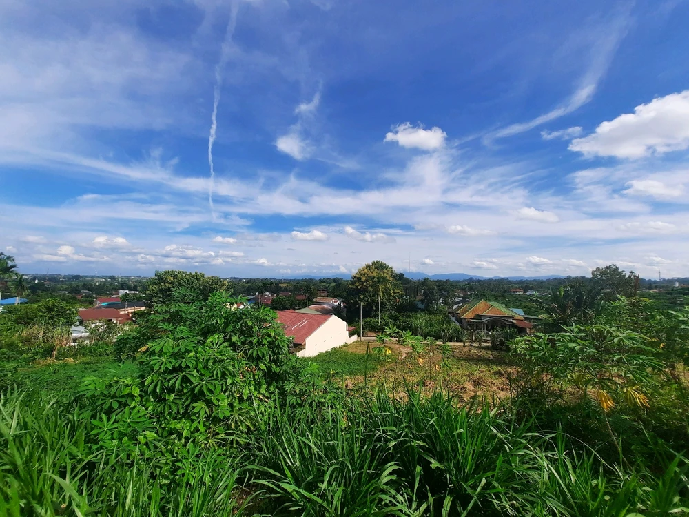 Image uploaded by Edo