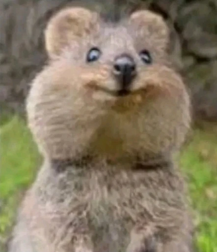 تصویر آپلود شده توسط Yassin