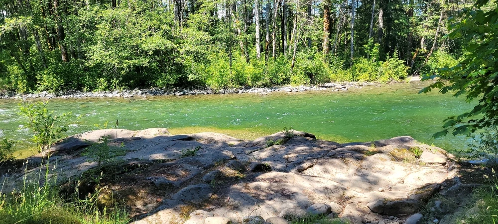 Image uploaded by Mason