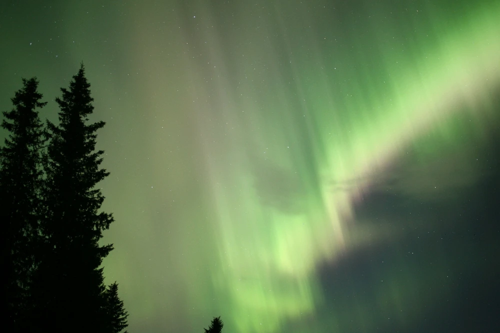 Image uploaded by Jenna