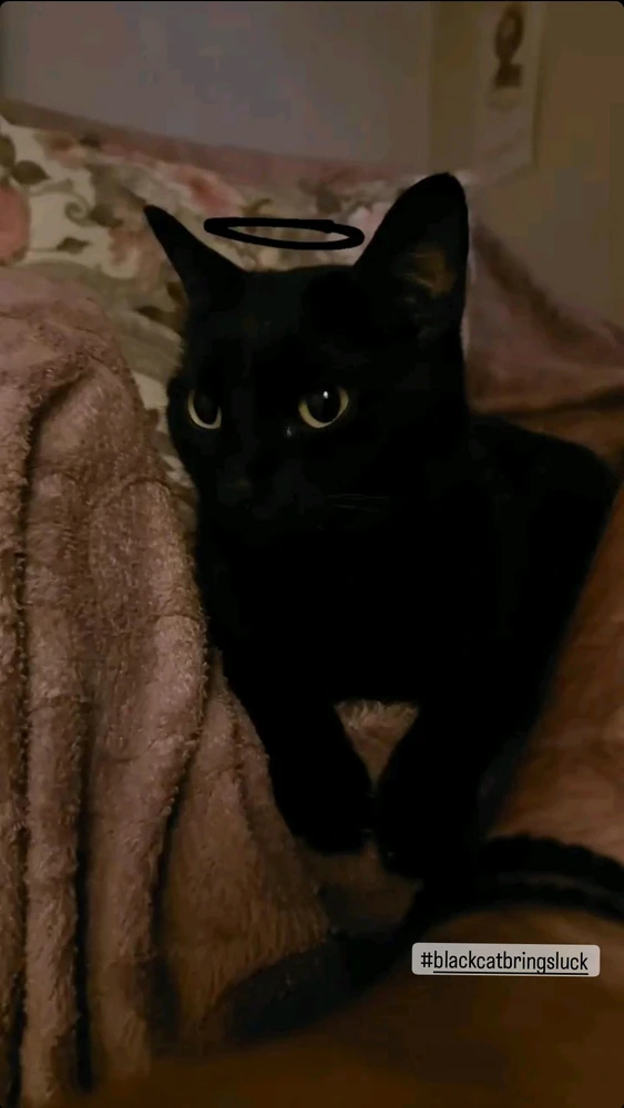 Image uploaded by ErdinG